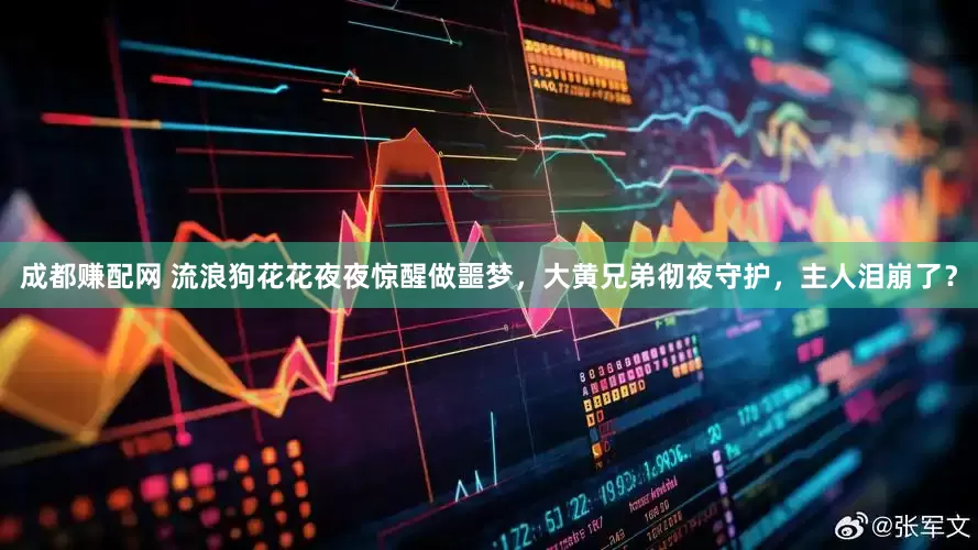 成都赚配网 流浪狗花花夜夜惊醒做噩梦，大黄兄弟彻夜守护，主人泪崩了？
