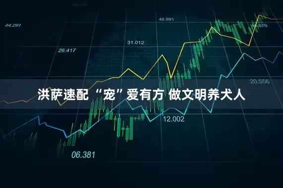 洪萨速配 “宠”爱有方 做文明养犬人