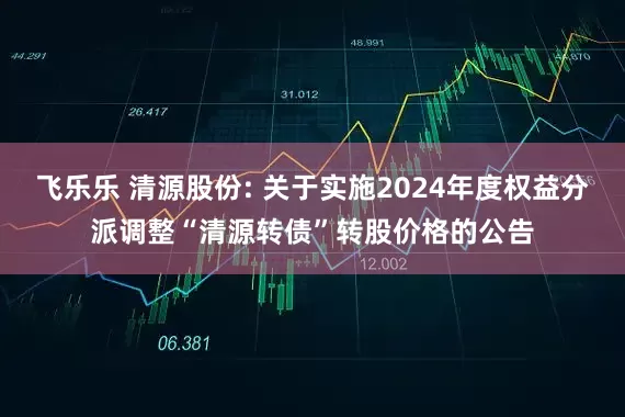 飞乐乐 清源股份: 关于实施2024年度权益分派调整“清源转债”转股价格的公告