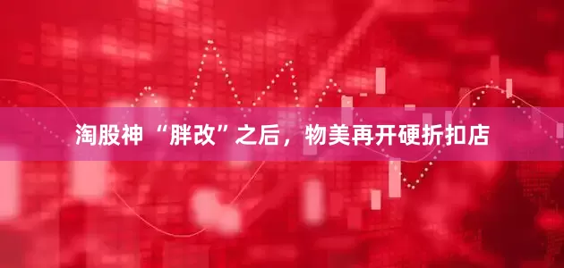 淘股神 “胖改”之后，物美再开硬折扣店