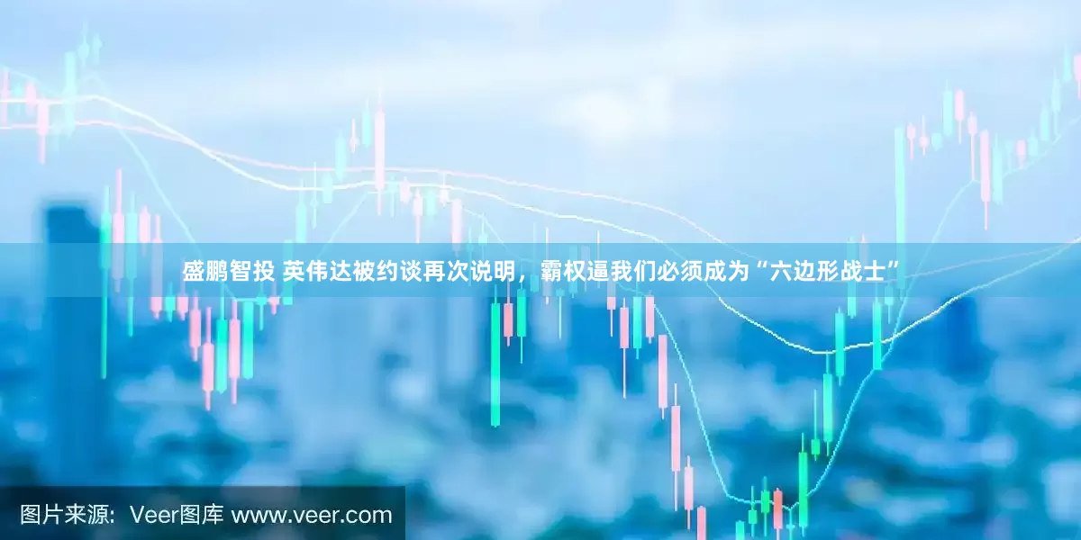 盛鹏智投 英伟达被约谈再次说明，霸权逼我们必须成为“六边形战士”