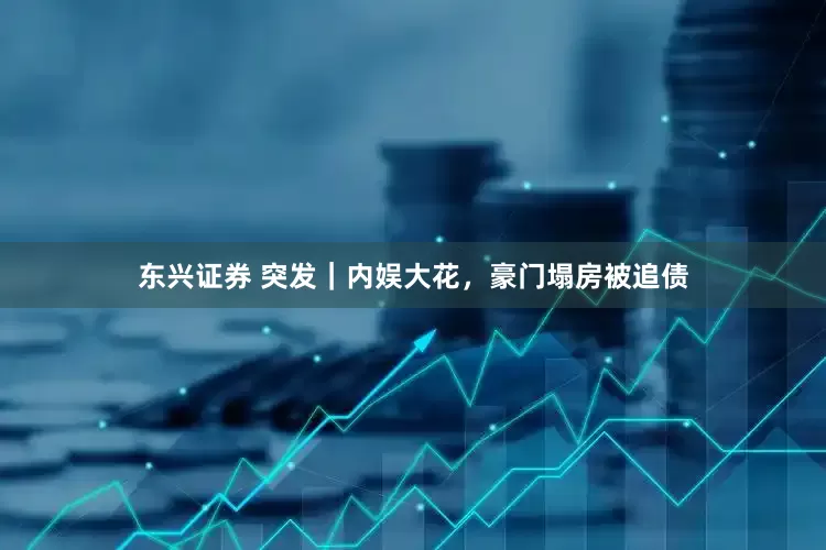 东兴证券 突发｜内娱大花，豪门塌房被追债