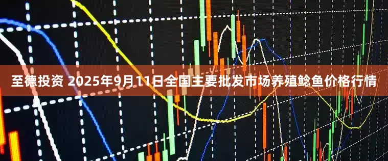 至德投资 2025年9月11日全国主要批发市场养殖鲶鱼价格行情