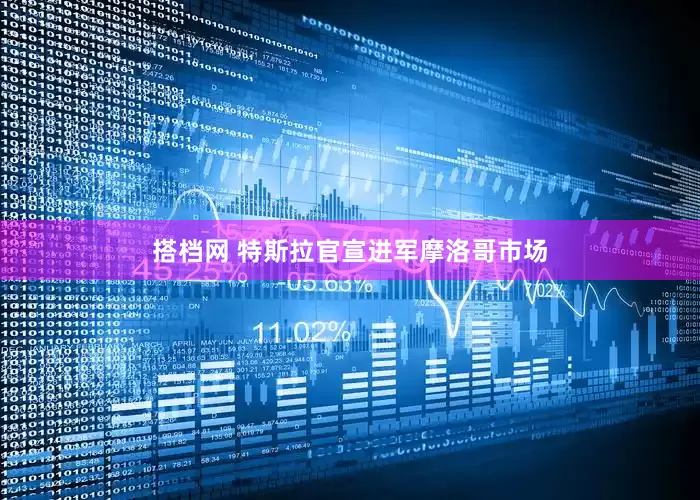 搭档网 特斯拉官宣进军摩洛哥市场