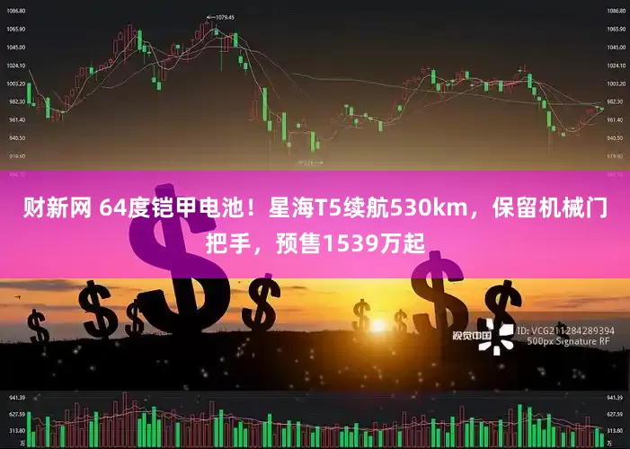 财新网 64度铠甲电池！星海T5续航530km，保留机械门把手，预售1539万起