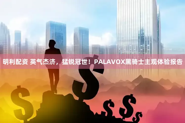 明利配资 英气杰济，猛锐冠世！PALAVOX黑骑士主观体验报告